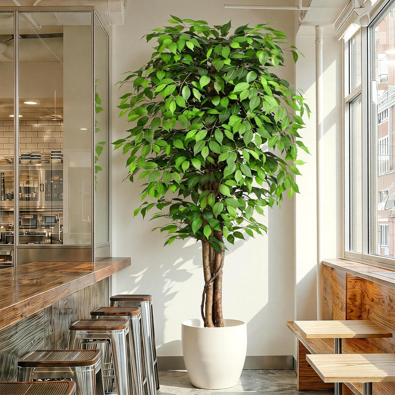 Dracaena Marginata - Lifelike Artificial Ficus Tree with Natural