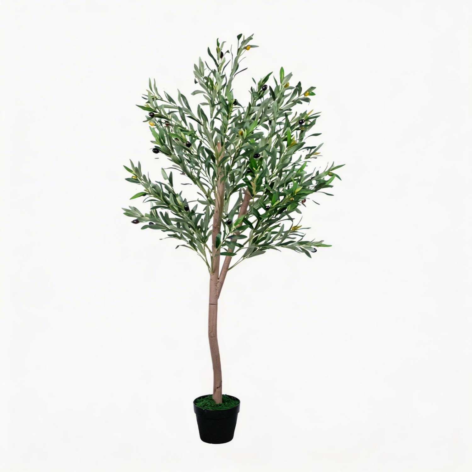 Artificial Olive Tree 5FT, Fau - Dracaena Marginata recension och pris