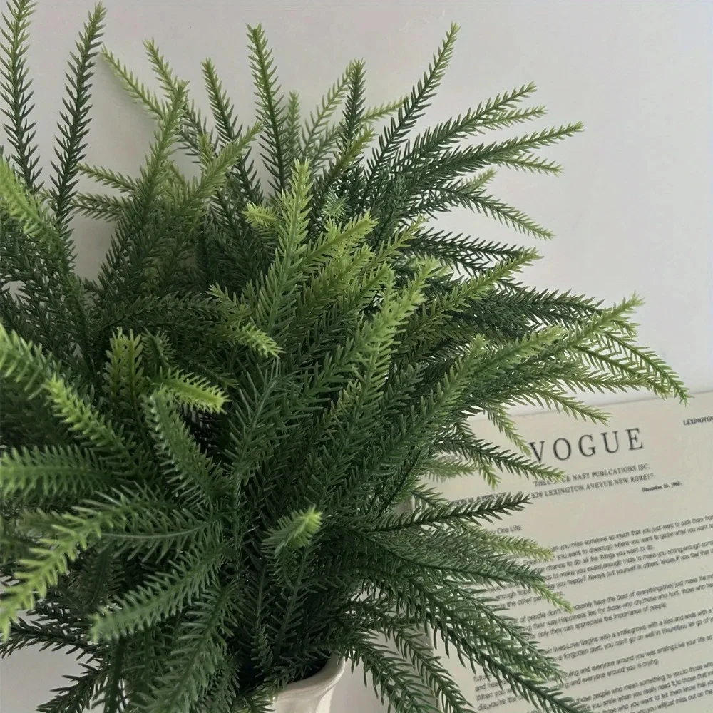 Christmas Norfolk Branches Rea - Dracaena Marginata recension och pris