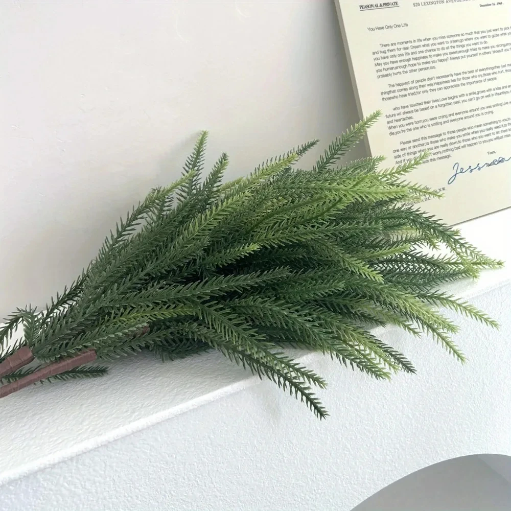Christmas Norfolk Branches Rea - Dracaena Marginata recension och pris