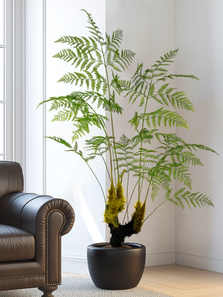 Large Simulated Golden Monkey  - Dracaena Marginata recension och pris